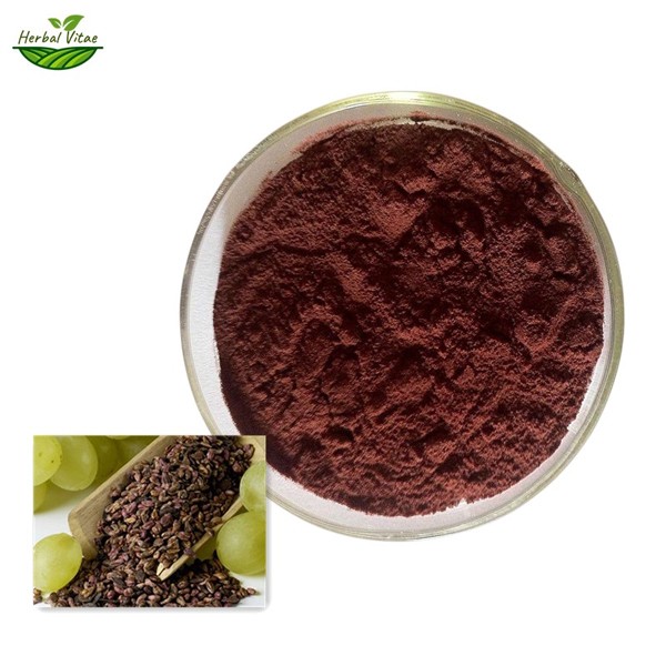 /uploads/image/2025/07/31/grape-seed-extract-powder-1.jpg grape-seed-extract-powder-1.jpg