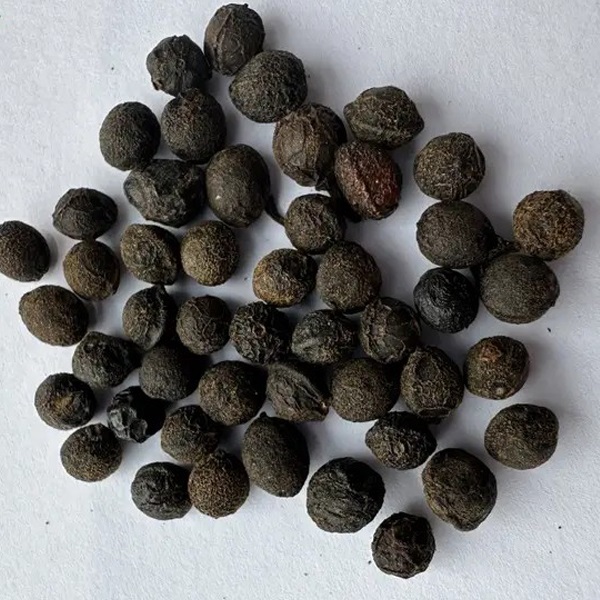 /uploads/image/2025/09/12/cubeb-seeds-1.jpg cubeb-seeds-1.jpg