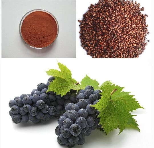 Common Skin Care Ingredient - The Grape Seed Extract Common Skin Care Ingredient - The Grape Seed Extract