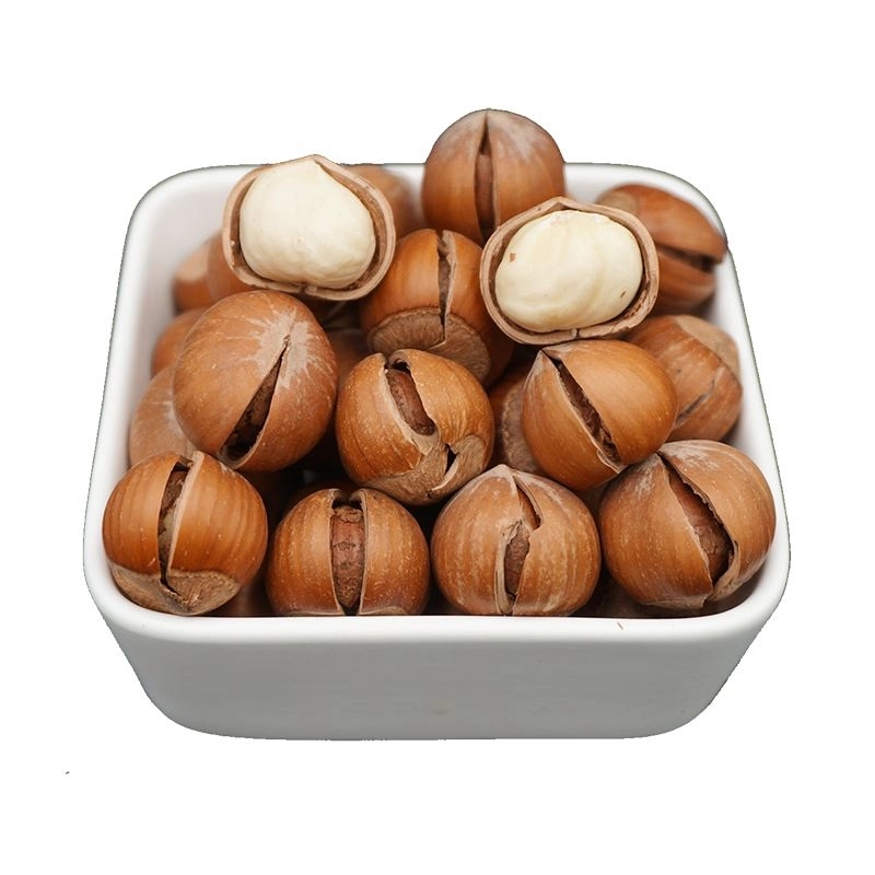 Hazelnuts Are the Good Nutritional Supplement for the Mental Workers Hazelnuts Are the Good Nutritional Supplement for the Mental Workers