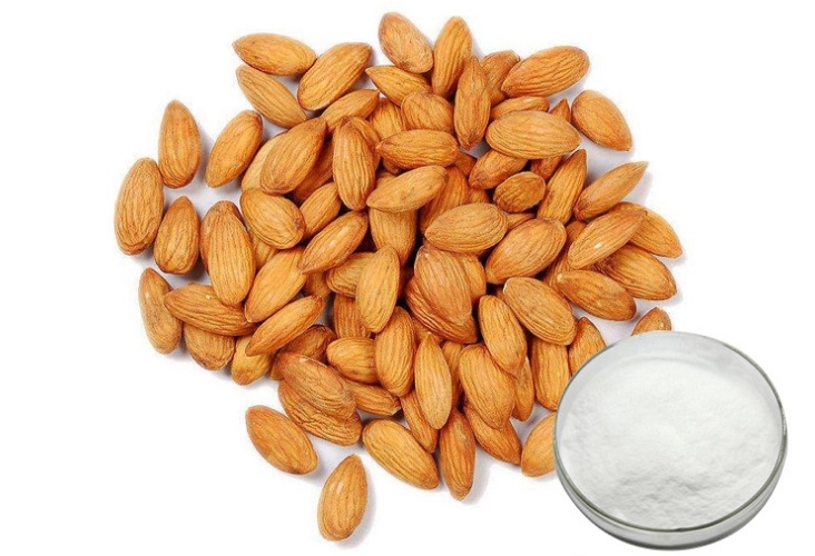 Introduction to the Main Components and Value of the Plant Bitter Almond Extract Introduction to the Main Components and Value of the Plant Bitter Almond Extract