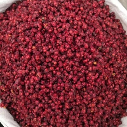 The Fresh Schisandra Fruit in The Our Place of Origin Has Been Fully Produced The Fresh Schisandra Fruit in The Our Place of Origin Has Been Fully Produced