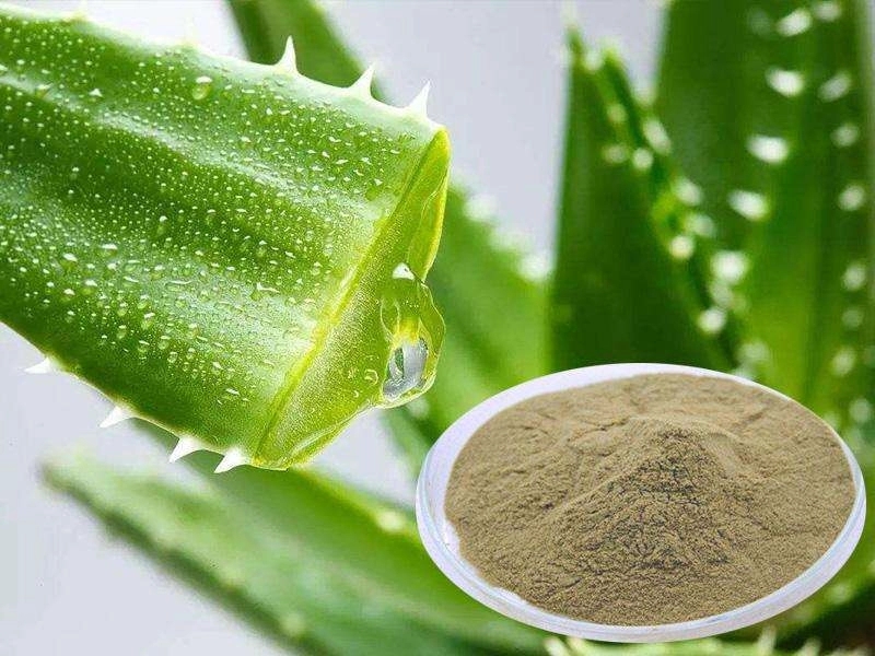 The Functions of Aloe Vera Powder The Functions of Aloe Vera Powder
