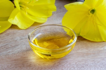 What Ingredients Make the Evening Primrose Pharmacologically a Good Helper for Our Body Functions What Ingredients Make the Evening Primrose Pharmacologically a Good Helper for Our Body Functions