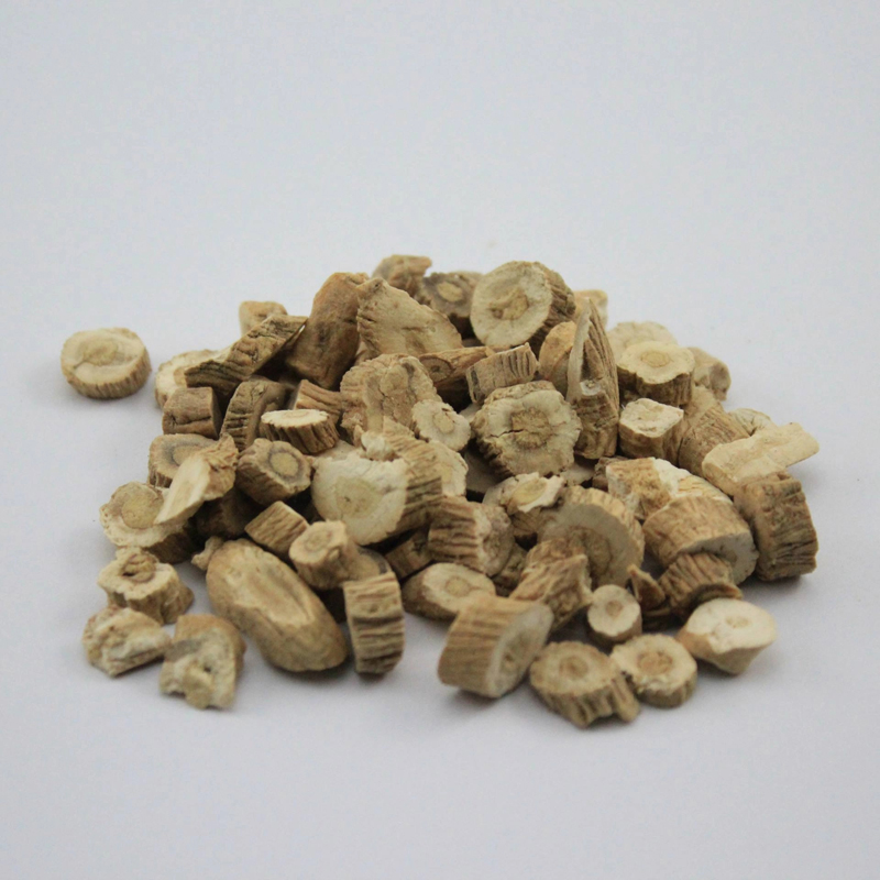Indigowoad Root Indigowoad Root