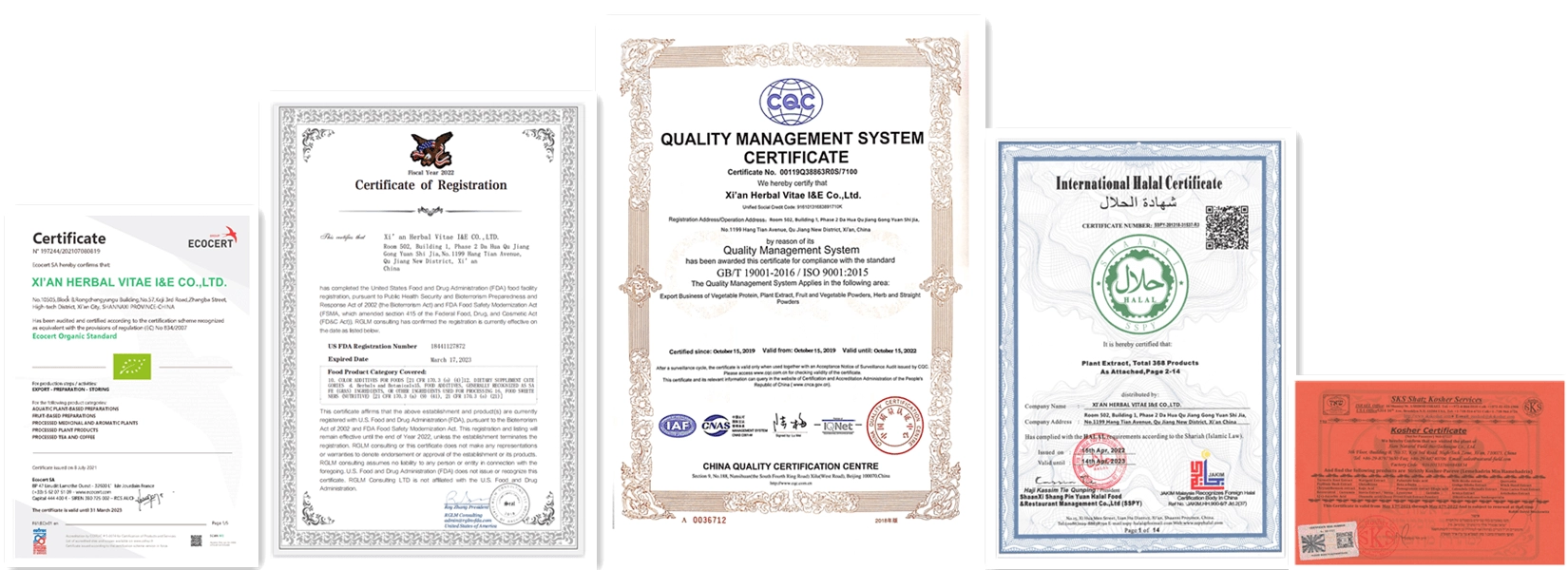 herbal-vitae-certificates.webp herbal-vitae-certificates.webp