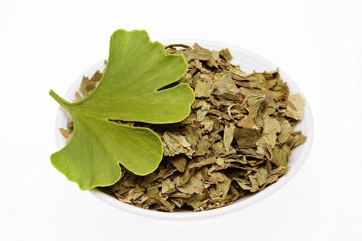 Ginkgo Leaf Ginkgo Leaf