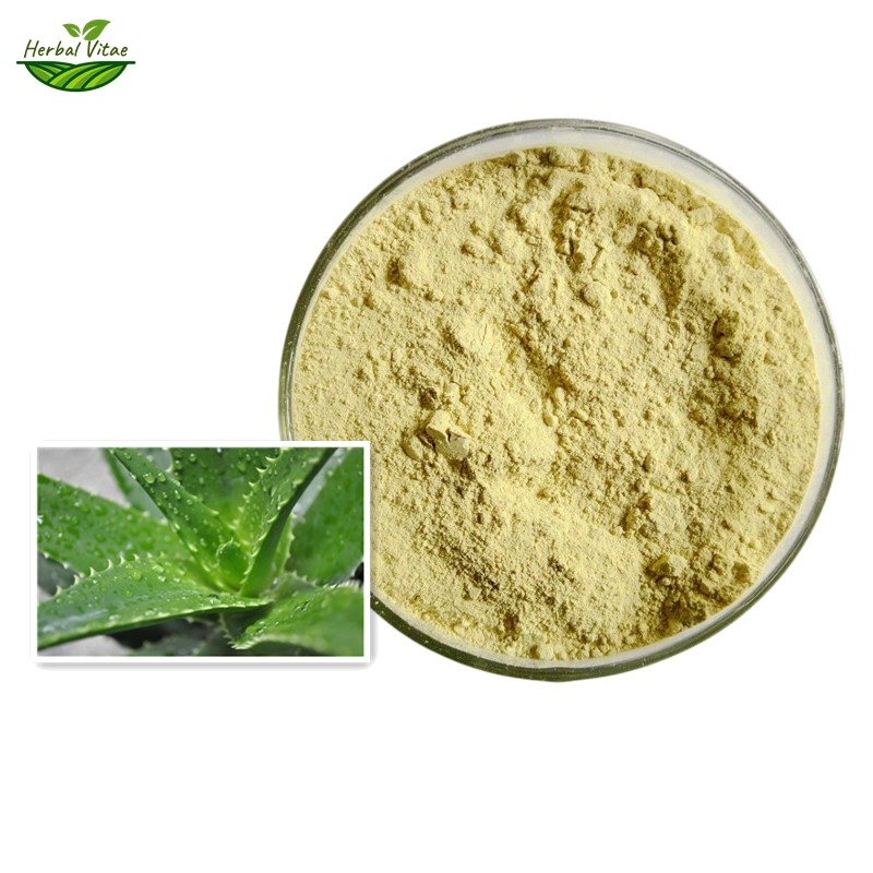 Aloe Vera Extract Powder Aloe Vera Extract Powder