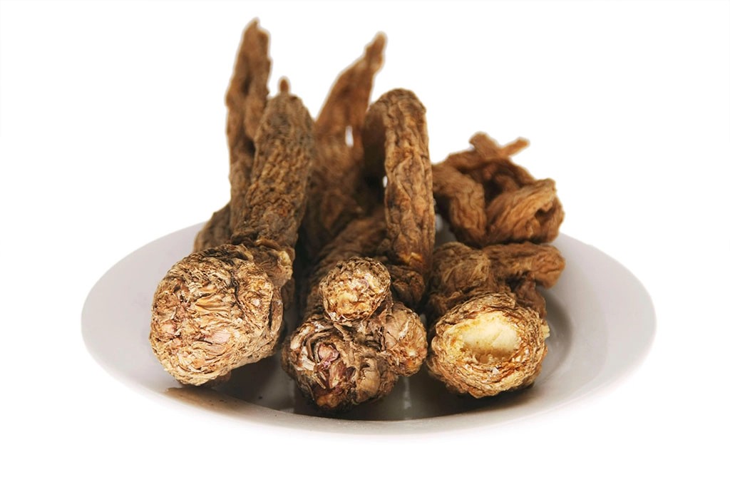 Angelica Extract Powder Angelica Extract Powder