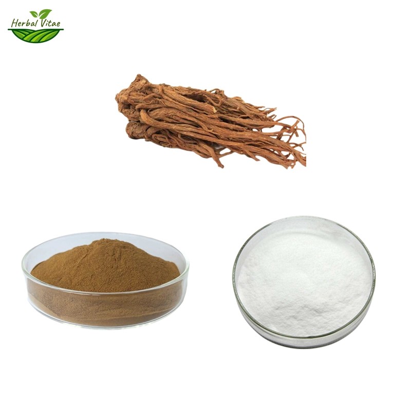 Angelica Extract Powder Angelica Extract Powder