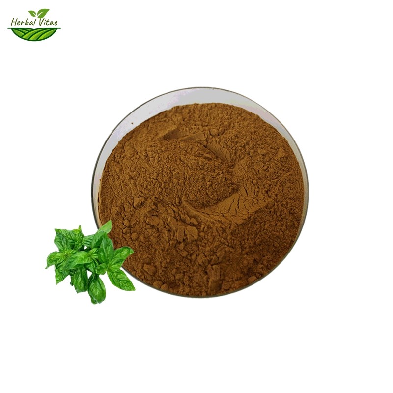 Basil Extract Powder Basil Extract Powder