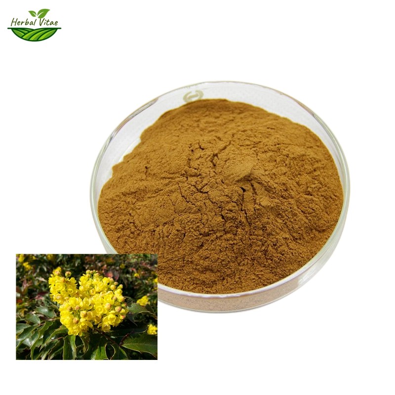 Berberis Aquifolium Extract Powder Berberis Aquifolium Extract Powder