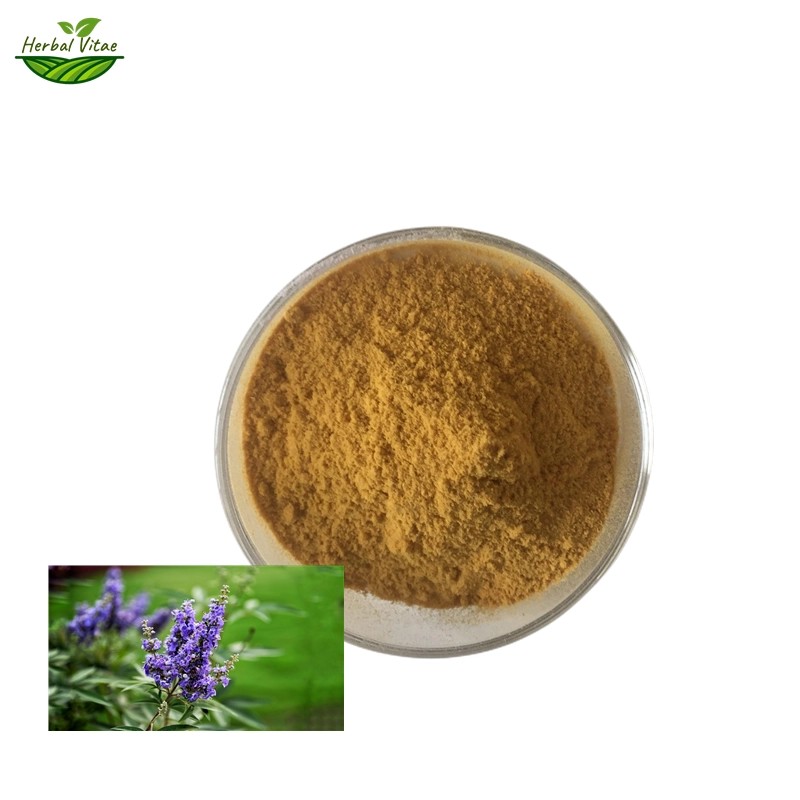 Chasteberry Extract Powder Chasteberry Extract Powder