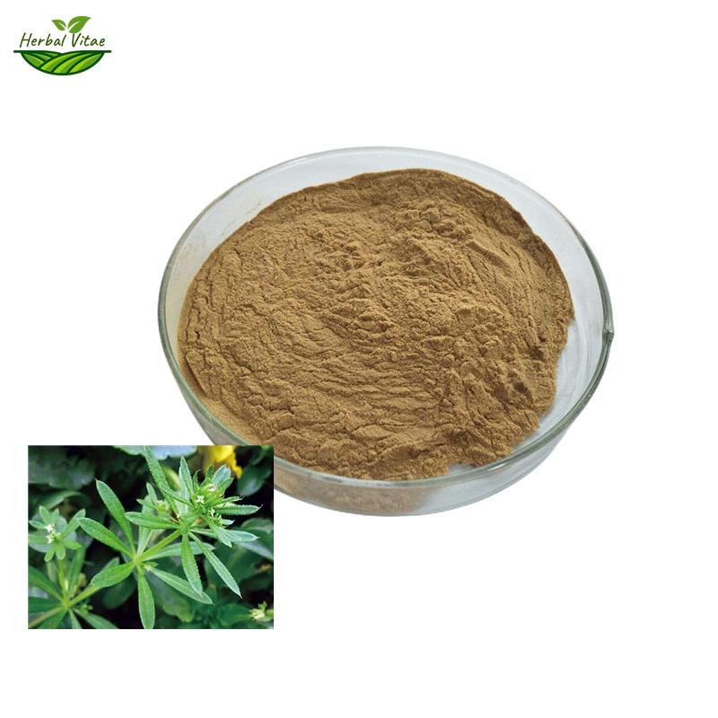 Cleavers Herb Extract Powder Cleavers Herb Extract Powder