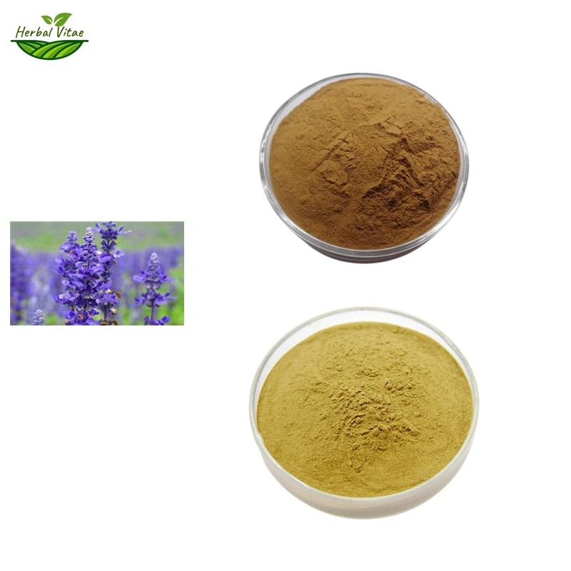 Common Sage Extract Powder Common Sage Extract Powder