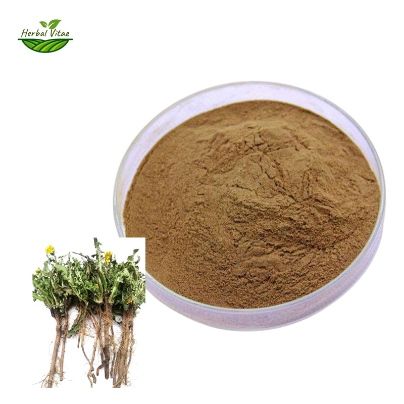 Dandelion Root Extract Dandelion Root Extract