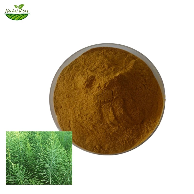 Field Horsetail Extract Powder Field Horsetail Extract Powder