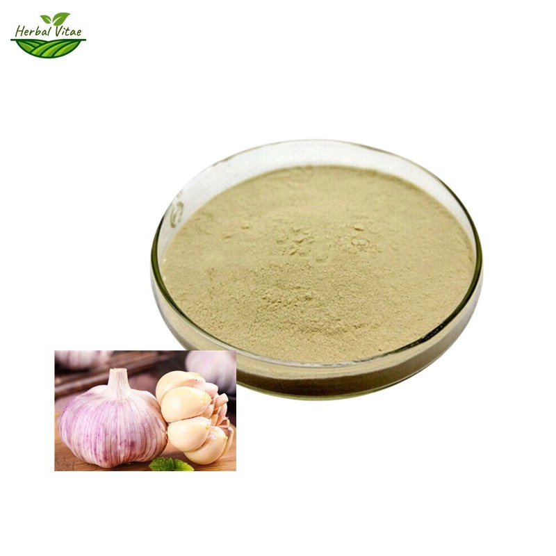 Garlic Extract Powder Garlic Extract Powder