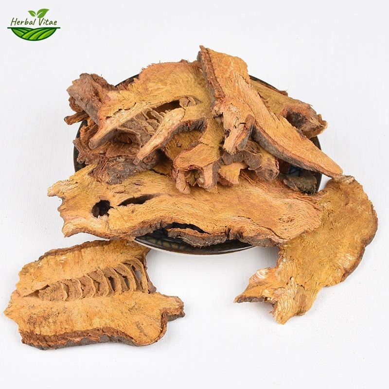 Giant Knotweed Rhizoma Extract Powder Giant Knotweed Rhizoma Extract Powder