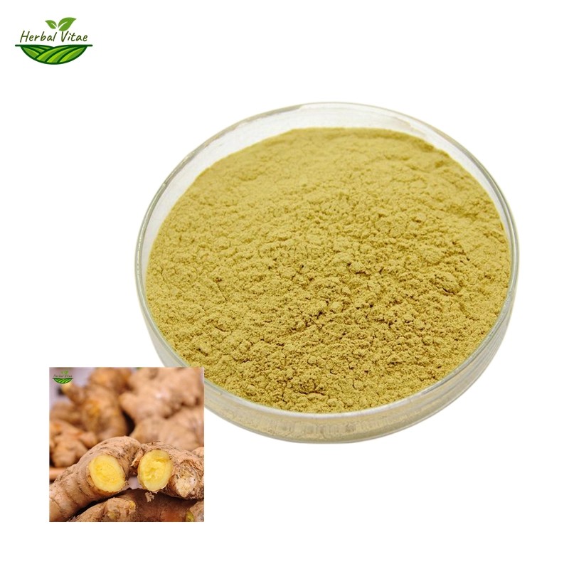 Ginger Extract Powder Ginger Extract Powder