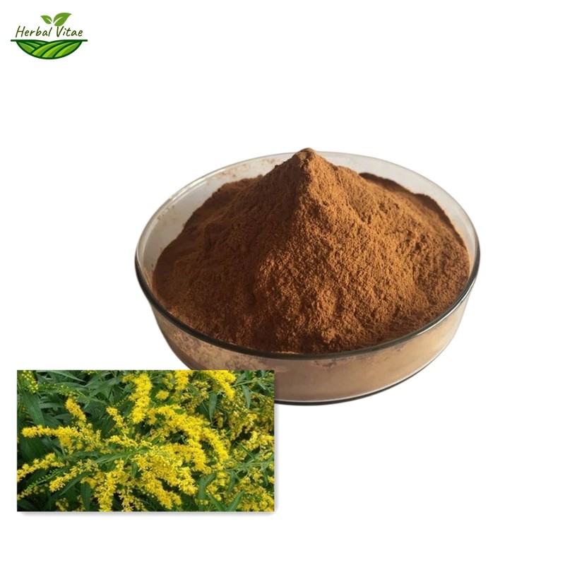 Goldenrod Extract Powder Goldenrod Extract Powder