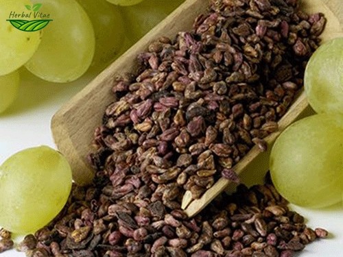 Grape Seed Extract Powder Grape Seed Extract Powder
