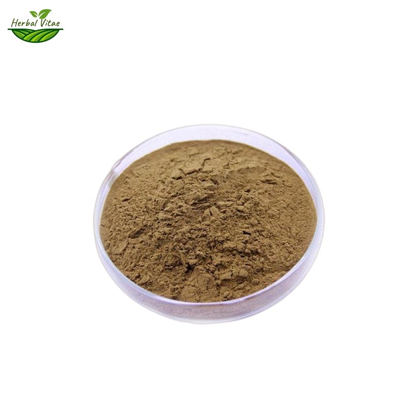 Hijiki Extract Powder Hijiki Extract Powder
