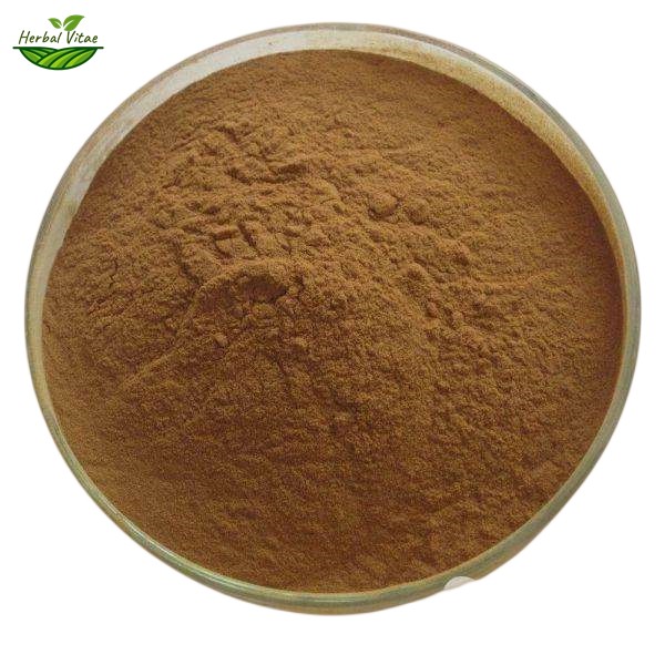 Holly Leaf Extract Powder Holly Leaf Extract Powder
