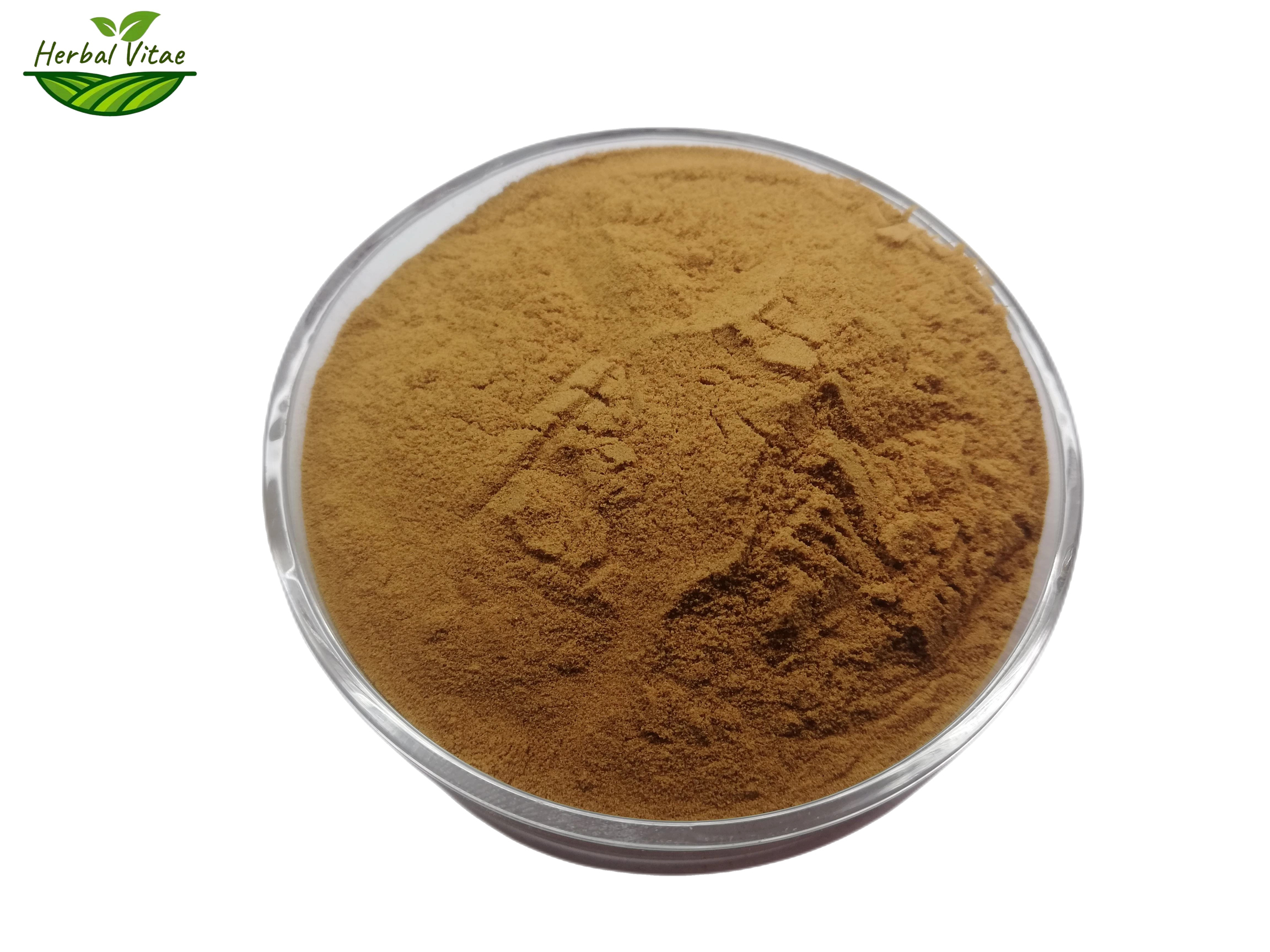 Hyssop Extract Hyssop Extract