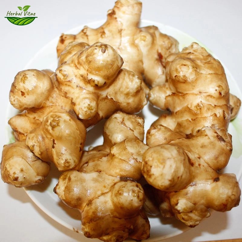 Jerusalem Artichoke Extract Powder Jerusalem Artichoke Extract Powder