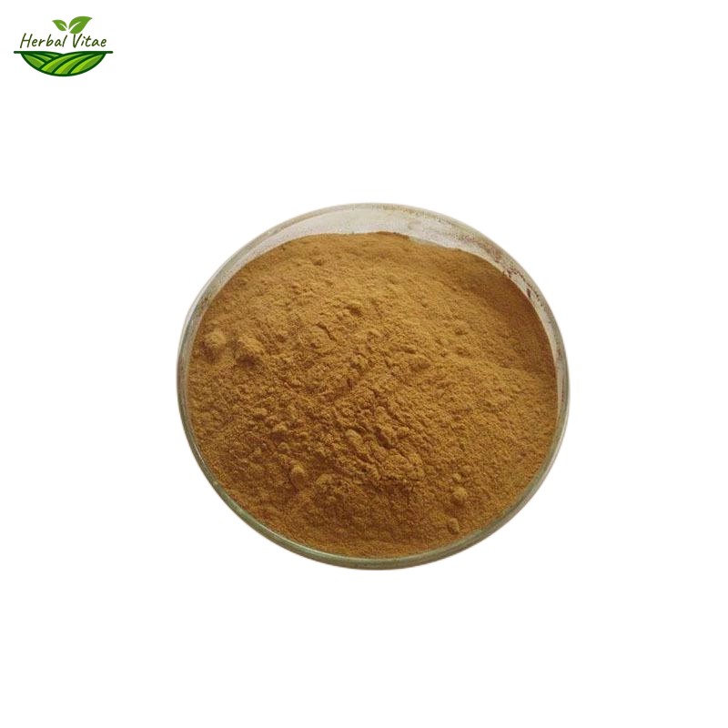 Lemon Balm Extact Powder Lemon Balm Extact Powder