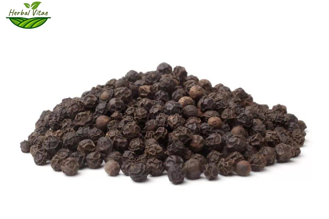 Piper Nigrum Extract Piper Nigrum Extract