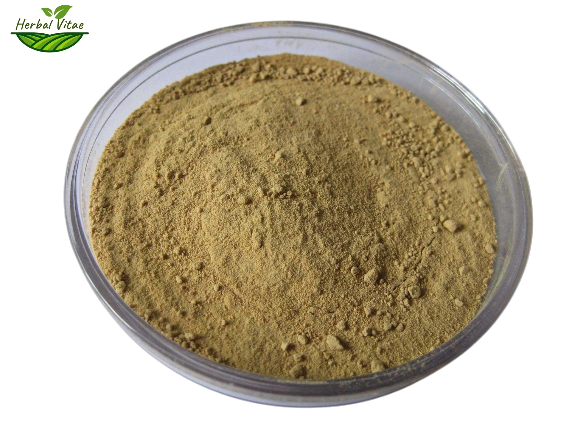 Red Clover Extract Powder Red Clover Extract Powder