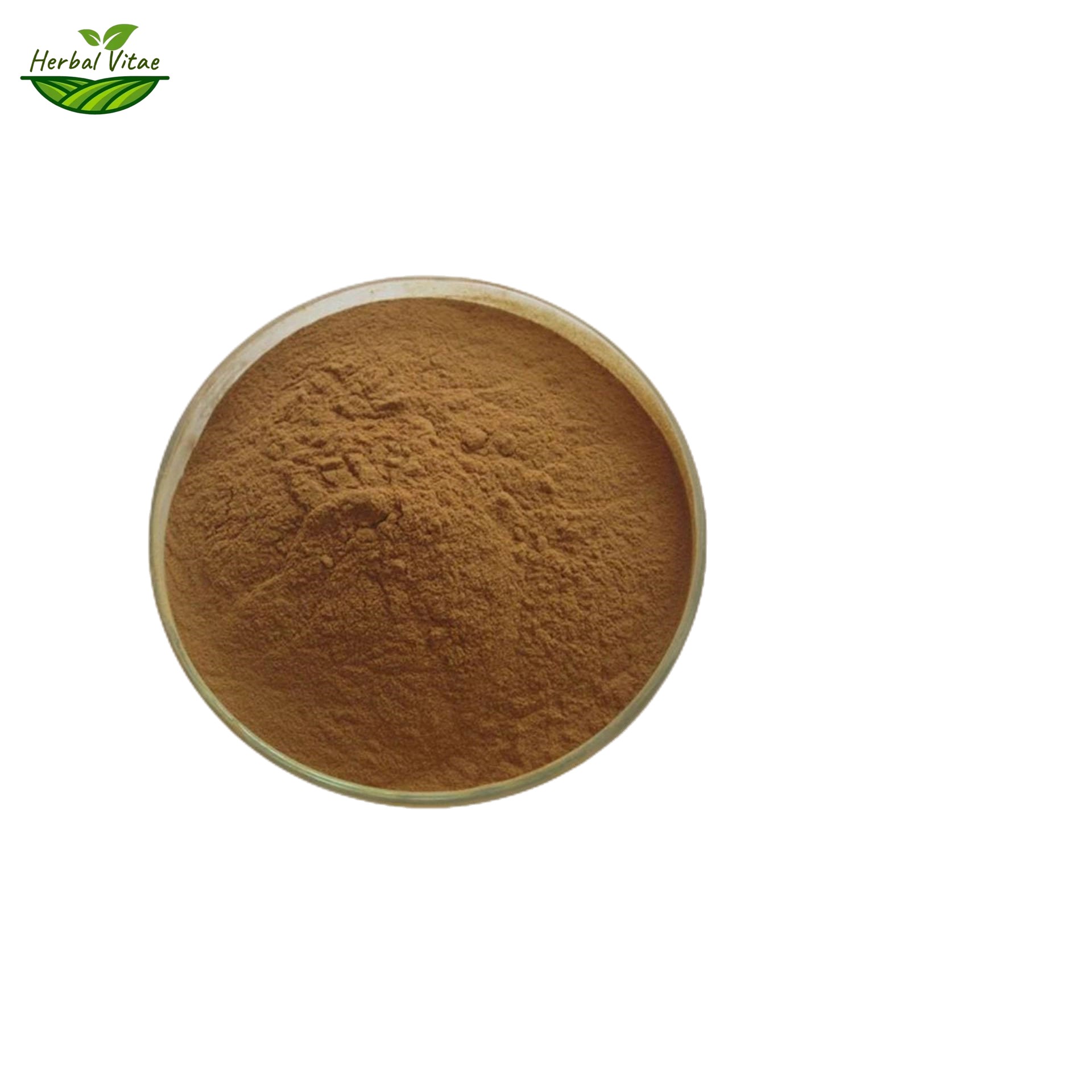 Reishi Mushroom Extract Powder Reishi Mushroom Extract Powder