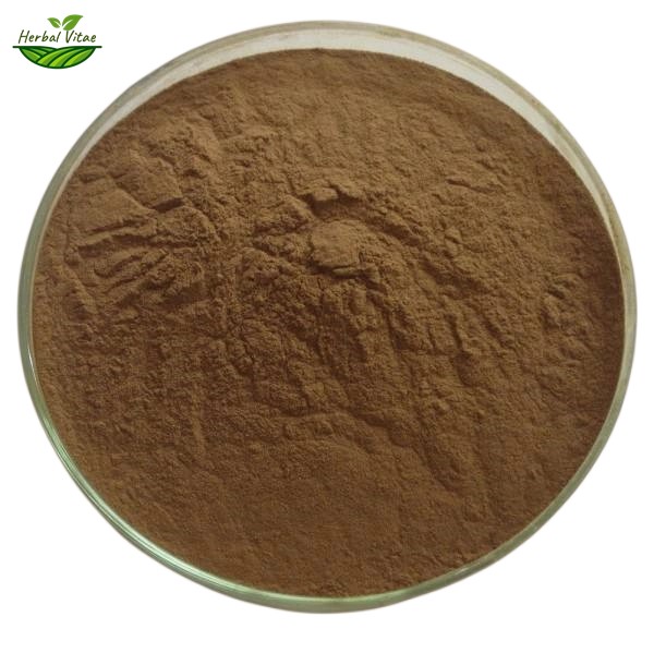 Rhododendron Extract Powder Rhododendron Extract Powder