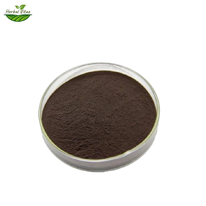 St John's Wort Extract St John's Wort Extract