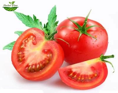 Tomato Extract Powder(Lycopene) Tomato Extract Powder(Lycopene)