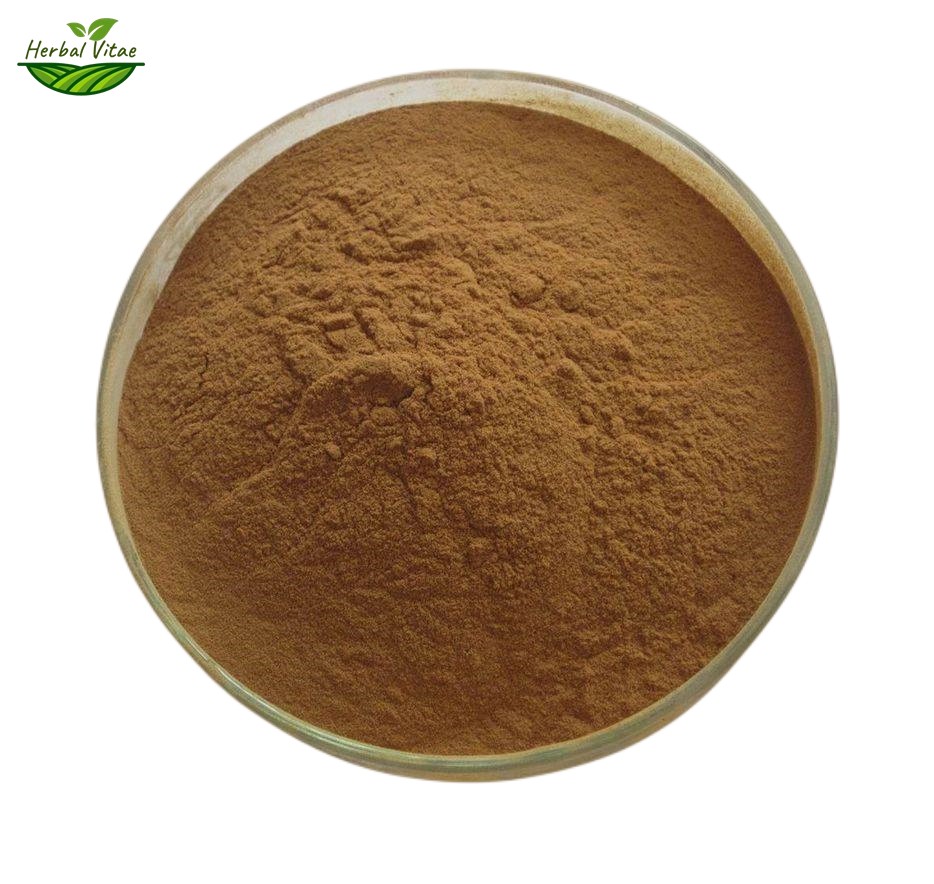 Turkey Tail Extract Powder Turkey Tail Extract Powder