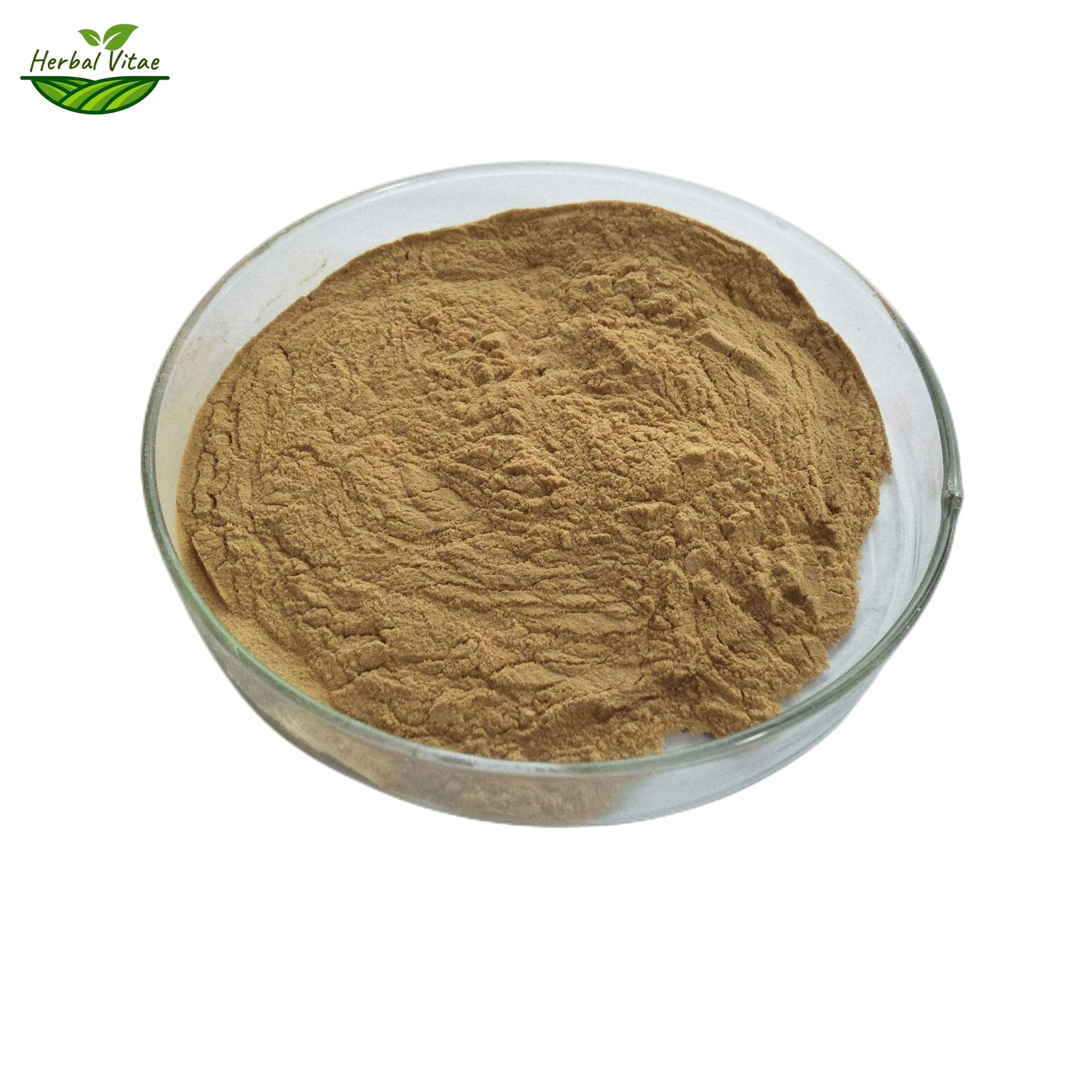 White Willow Bark Extract Powder White Willow Bark Extract Powder